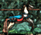 Carousel Horse